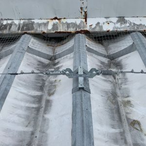 WhatsApp Image 2026-03-30 at 16.41.31