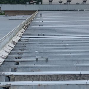 WhatsApp Image 2026-03-30 at 16.41.34 (1)