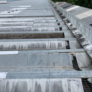 WhatsApp Image 2026-03-30 at 16.41.38