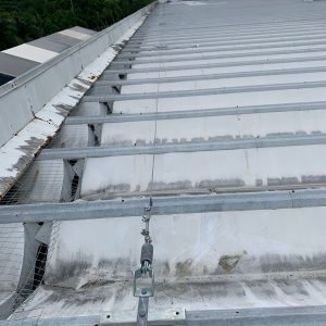 WhatsApp Image 2026-03-30 at 16.41.40 (2)