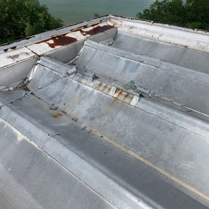 WhatsApp Image 2026-03-30 at 16.41.43 (3)